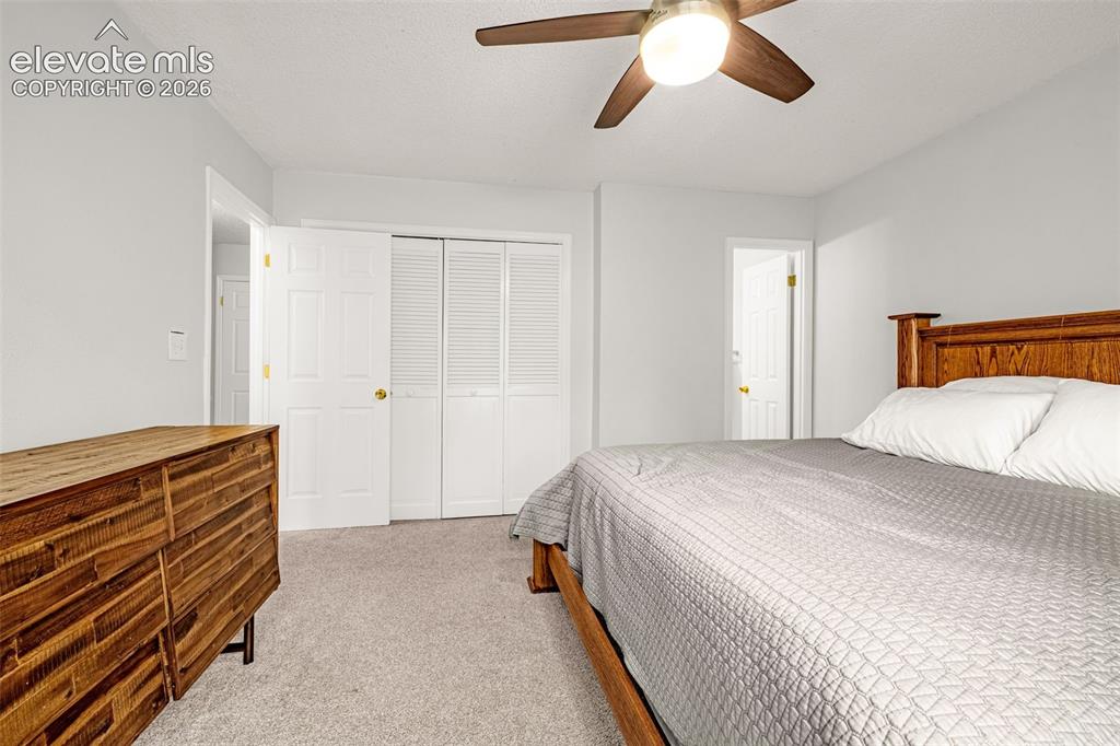 313 Raspberry Lane Monument CO 80132