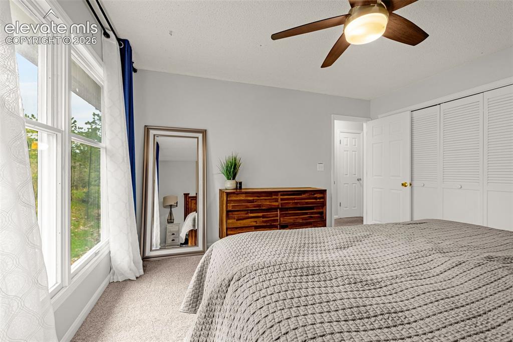 313 Raspberry Lane Monument CO 80132
