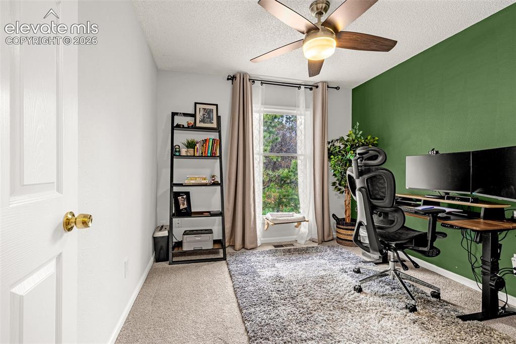 313 Raspberry Lane Monument CO 80132