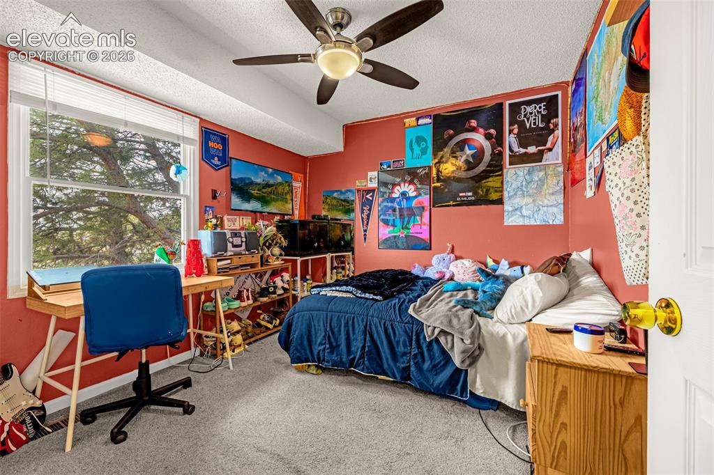 313 Raspberry Lane Monument CO 80132