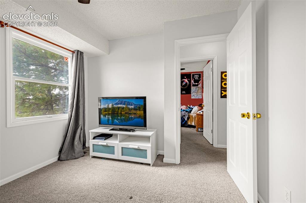 313 Raspberry Lane Monument CO 80132