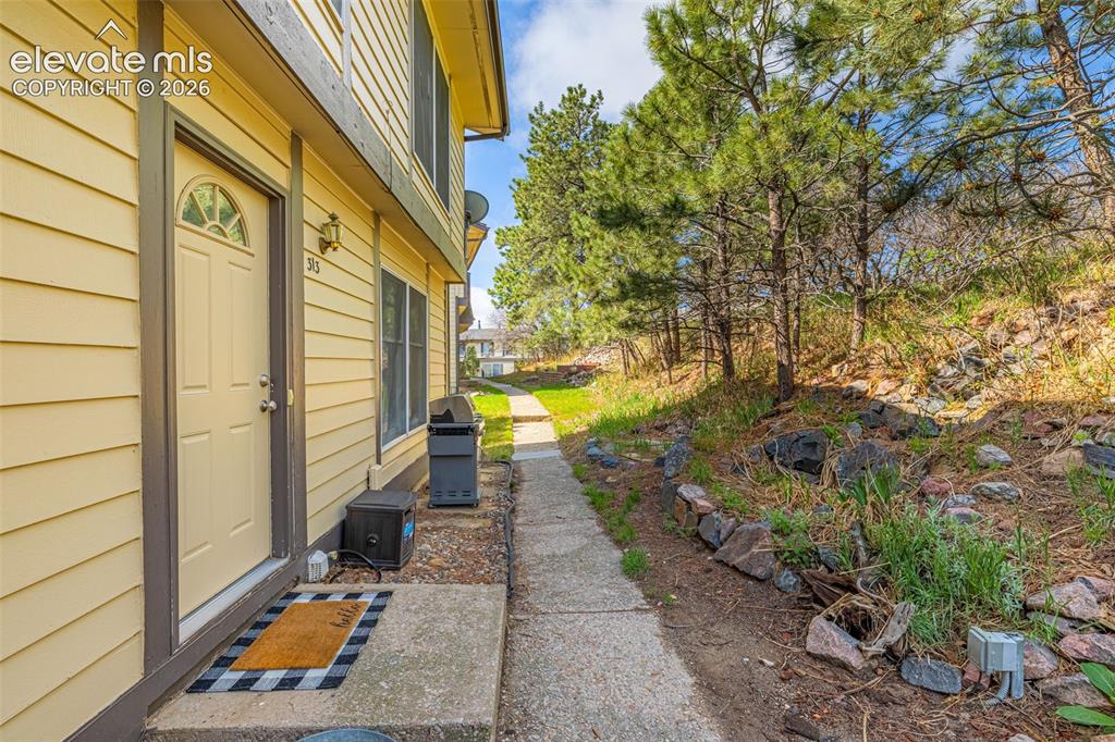 313 Raspberry Lane Monument CO 80132