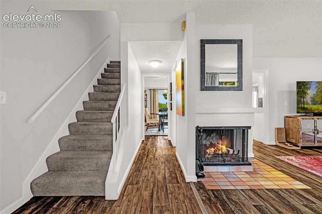 313 Raspberry Lane Monument CO 80132
