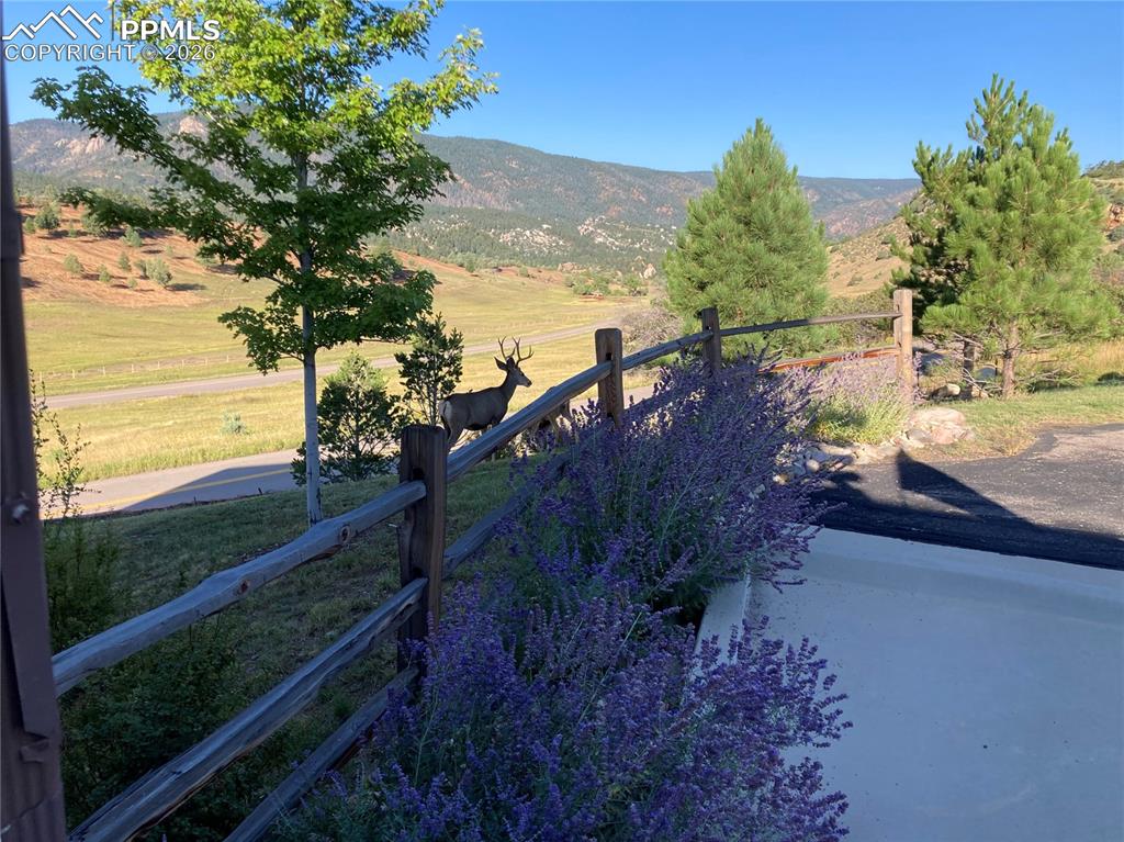 4540 Echo Cliff Lane Larkspur CO 80118