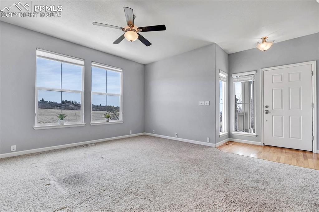 17099 Blue Mist Grove Monument CO 80132