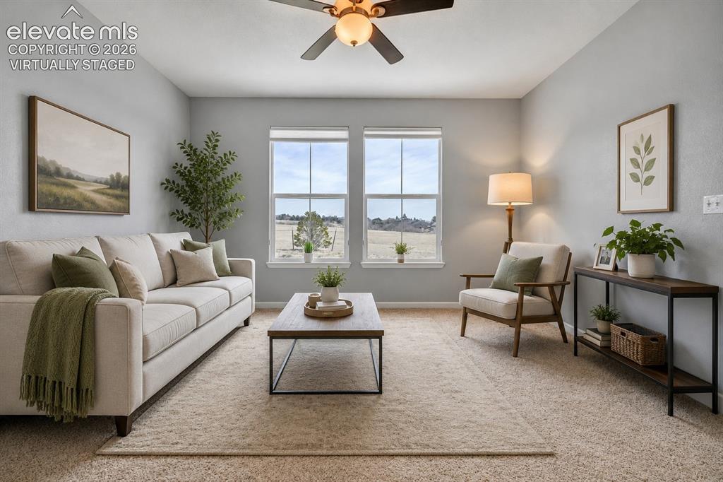 17099 Blue Mist Grove Monument CO 80132