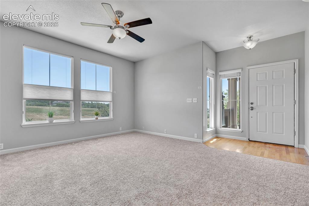 17099 Blue Mist Grove Monument CO 80132