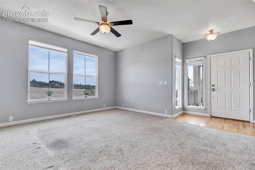 17099 Blue Mist Grove Monument CO 80132