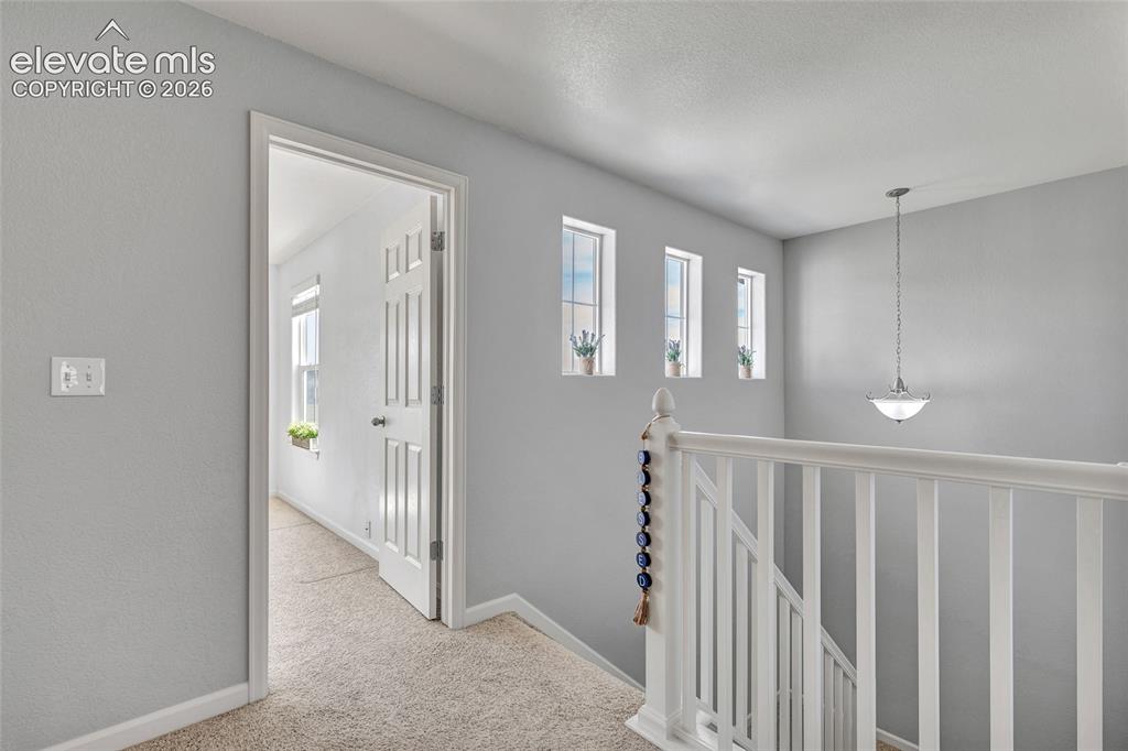 17099 Blue Mist Grove Monument CO 80132