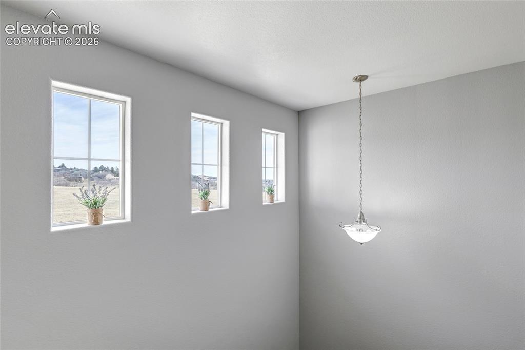 17099 Blue Mist Grove Monument CO 80132