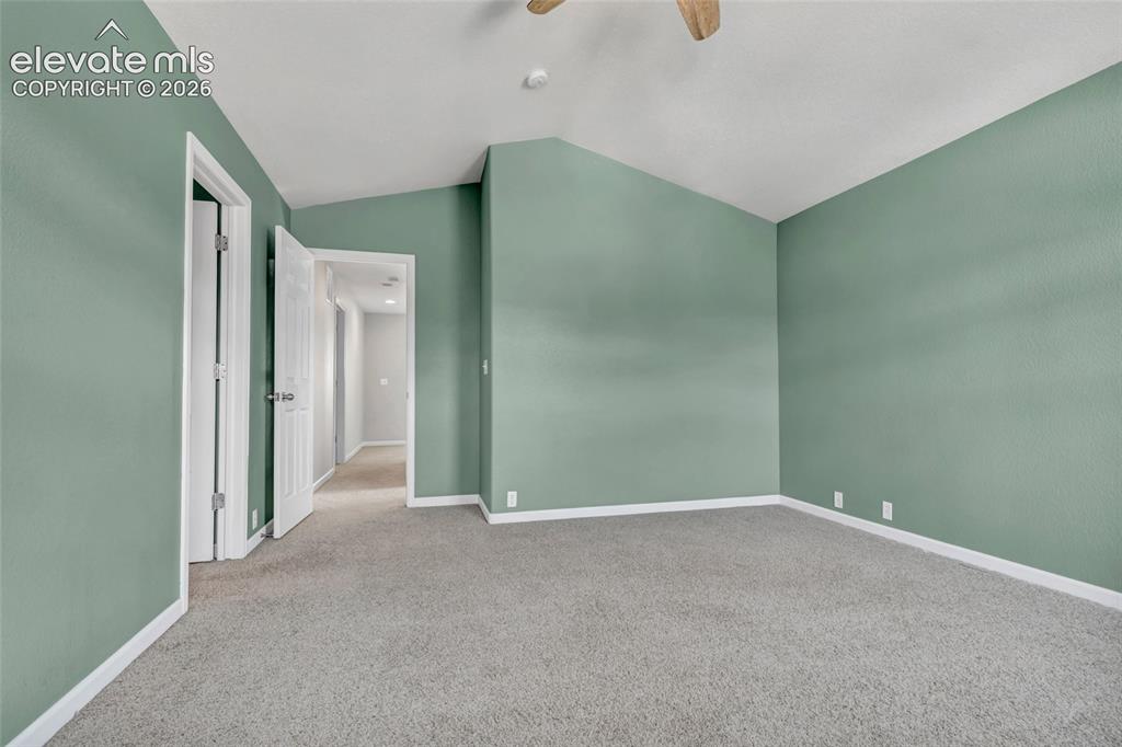 17099 Blue Mist Grove Monument CO 80132