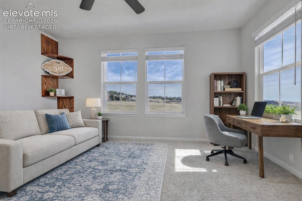17099 Blue Mist Grove Monument CO 80132