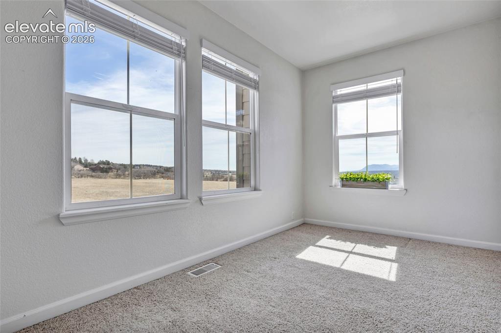 17099 Blue Mist Grove Monument CO 80132