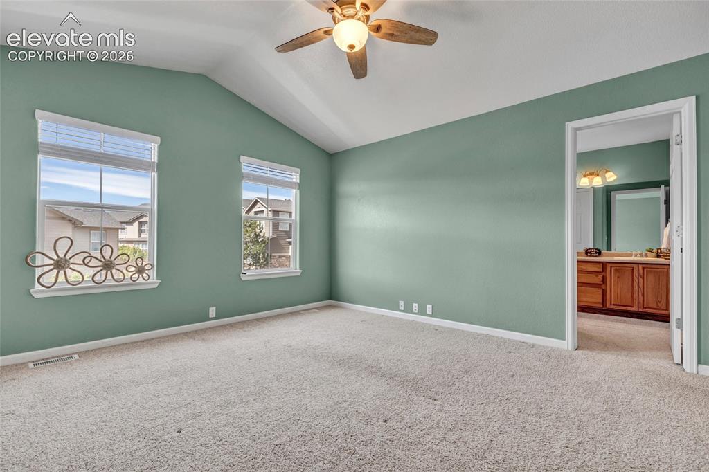17099 Blue Mist Grove Monument CO 80132