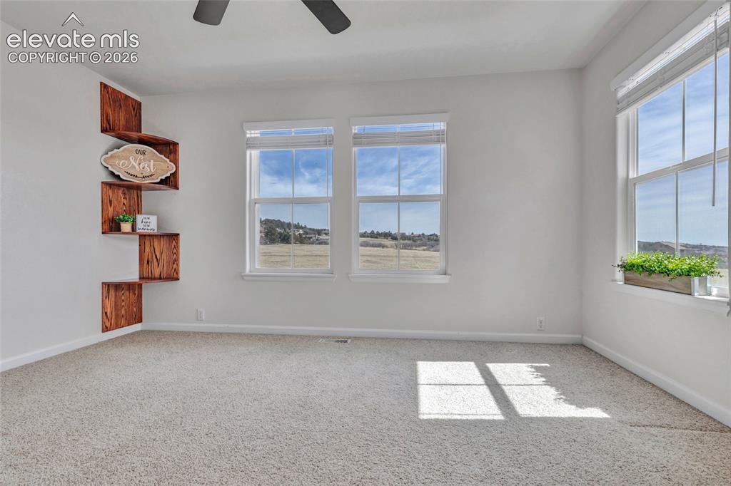 17099 Blue Mist Grove Monument CO 80132