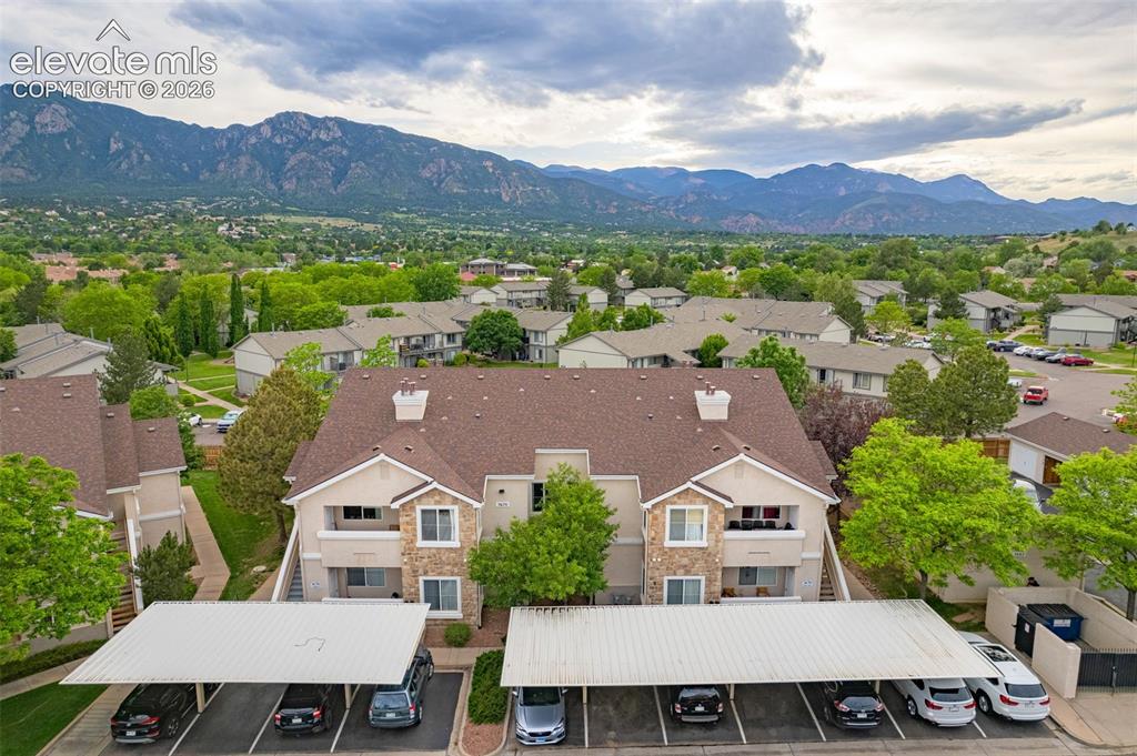 3670 Strawberry Field Grove Colorado Springs CO 80906