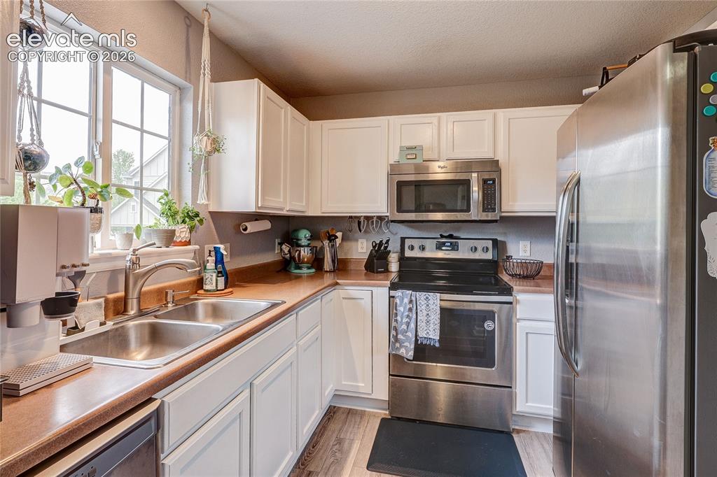 1458 Nemrick Place Castle Rock CO 80109