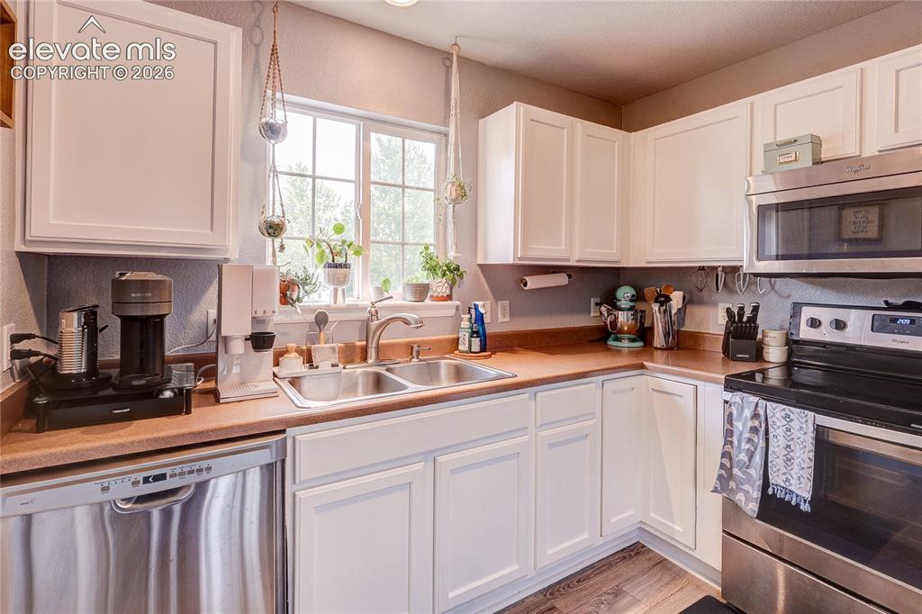 1458 Nemrick Place Castle Rock CO 80109