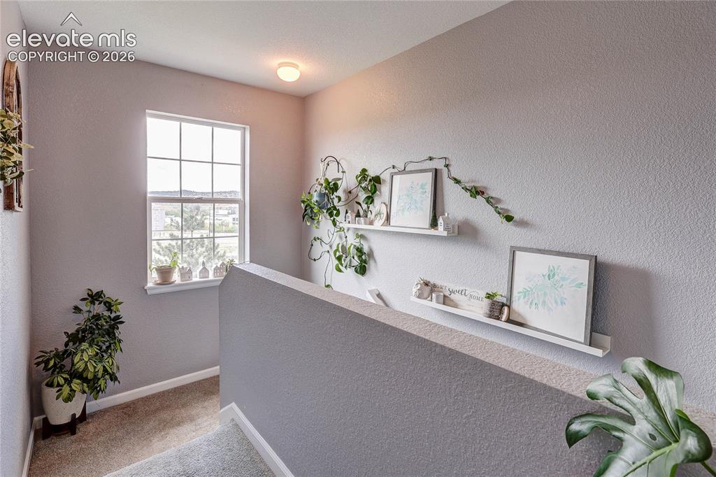 1458 Nemrick Place Castle Rock CO 80109