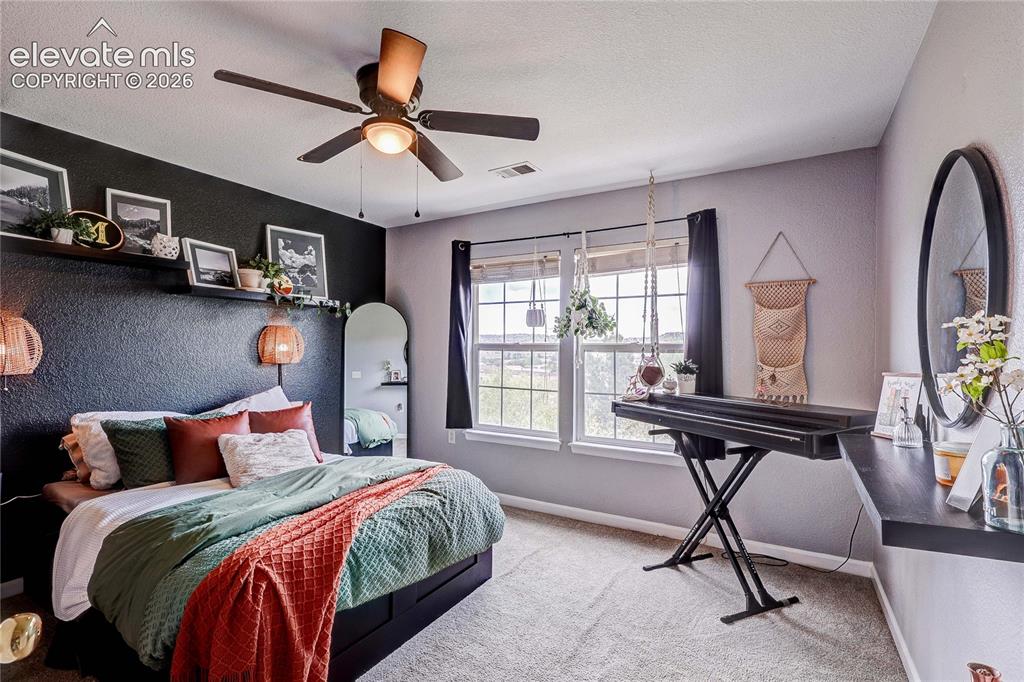 1458 Nemrick Place Castle Rock CO 80109