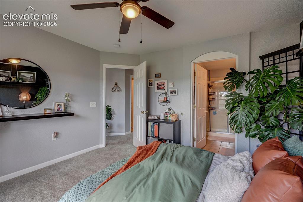1458 Nemrick Place Castle Rock CO 80109