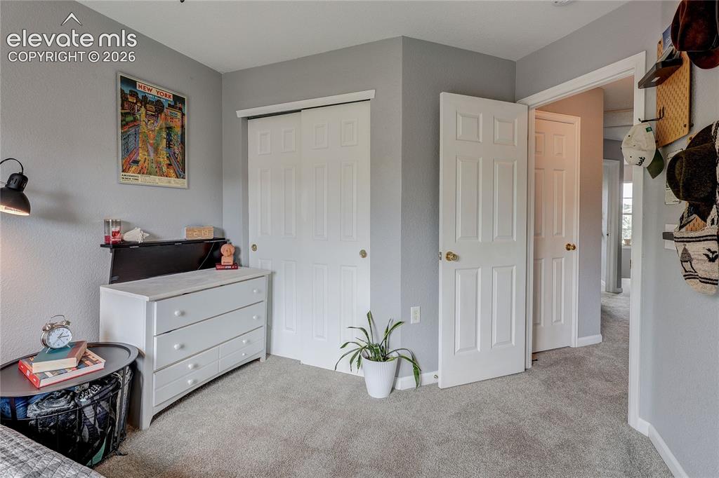 1458 Nemrick Place Castle Rock CO 80109