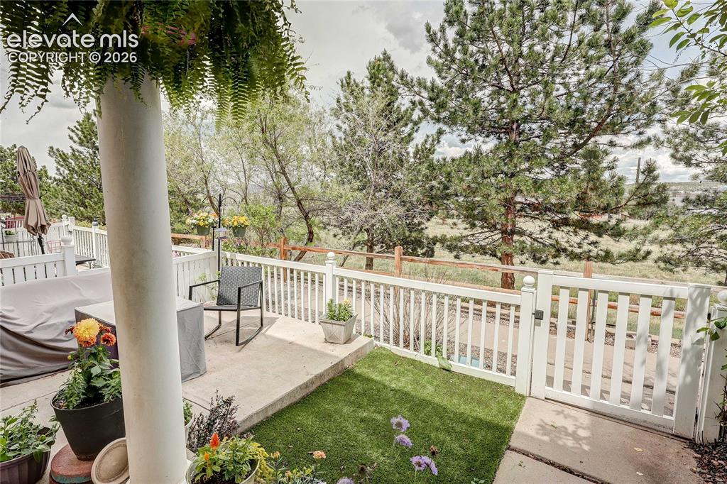1458 Nemrick Place Castle Rock CO 80109