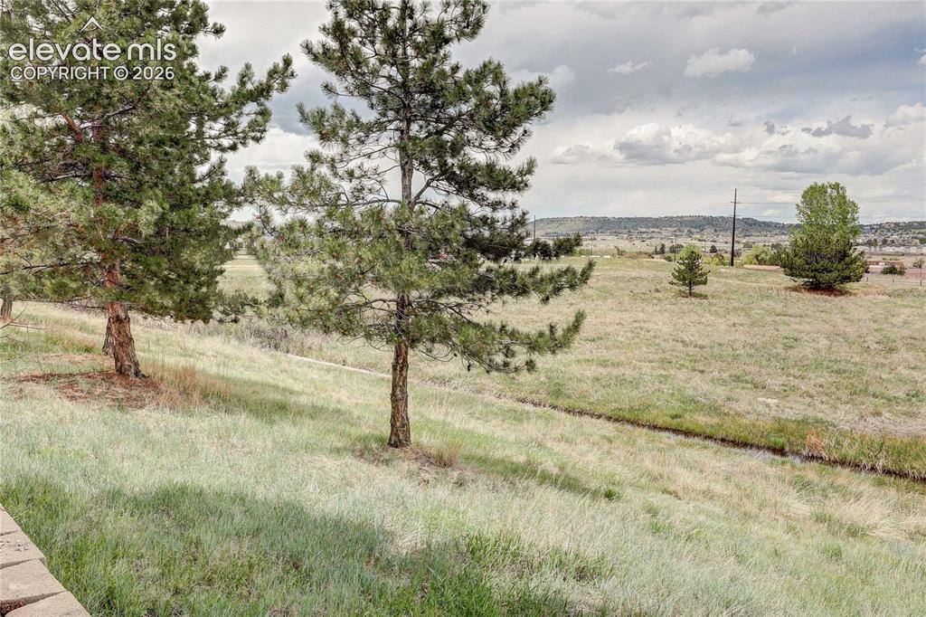 1458 Nemrick Place Castle Rock CO 80109