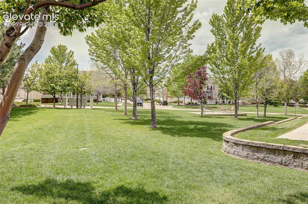 1458 Nemrick Place Castle Rock CO 80109