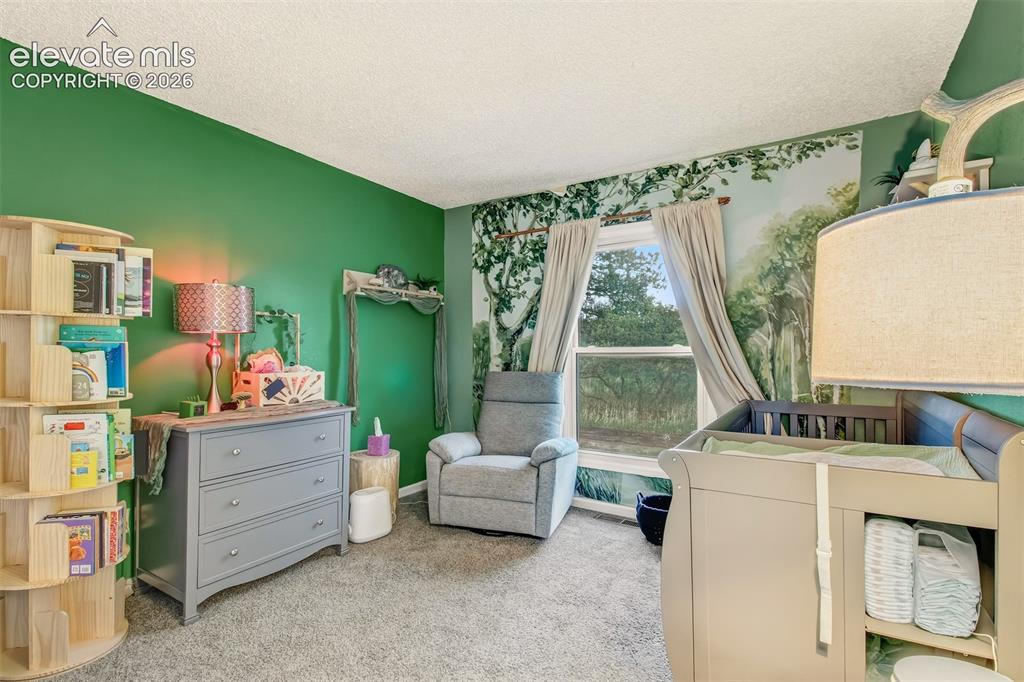 367 Raspberry Lane Monument CO 80132