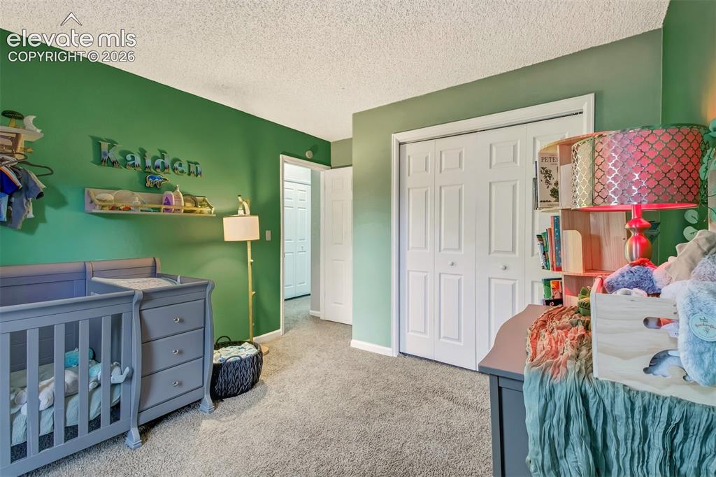 367 Raspberry Lane Monument CO 80132
