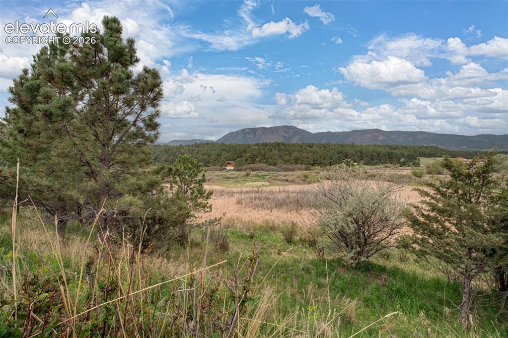 367 Raspberry Lane Monument CO 80132