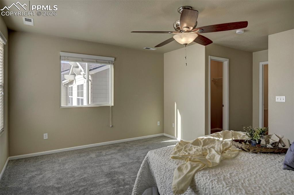 5653 Saint Patrick View Colorado Springs CO 80923