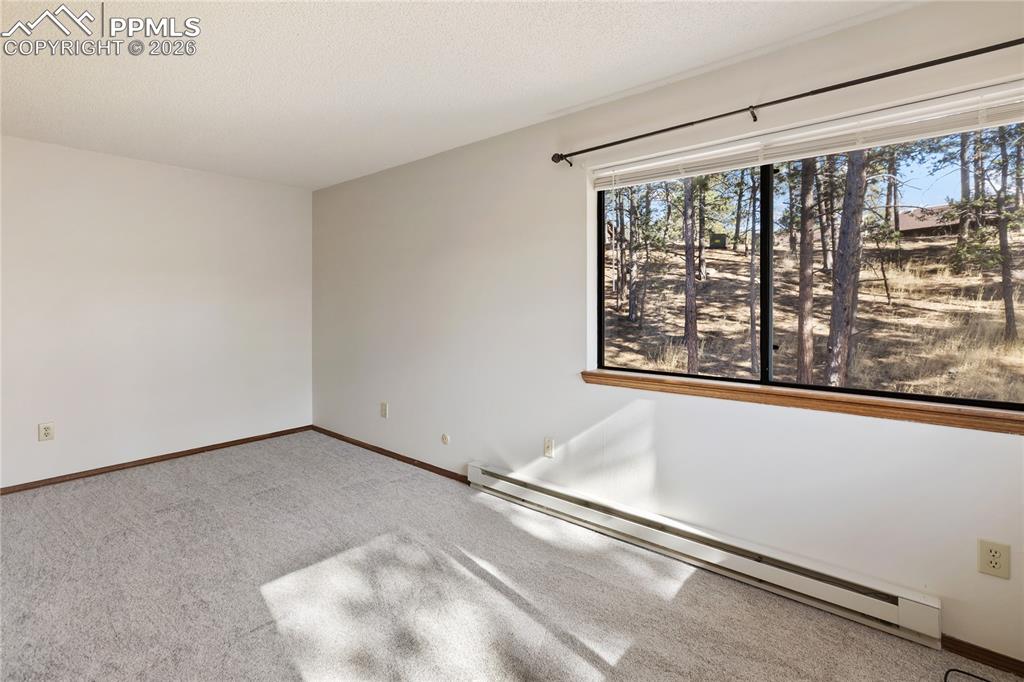 570 Manor Court Woodland Park CO 80863