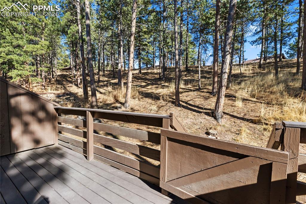 570 Manor Court Woodland Park CO 80863