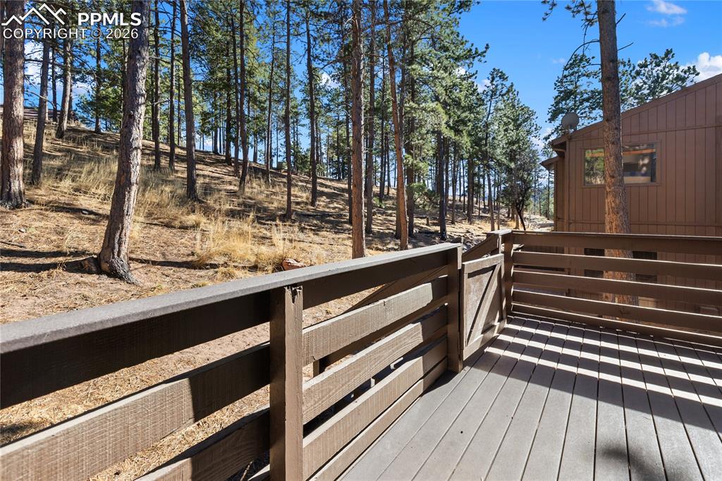 570 Manor Court Woodland Park CO 80863