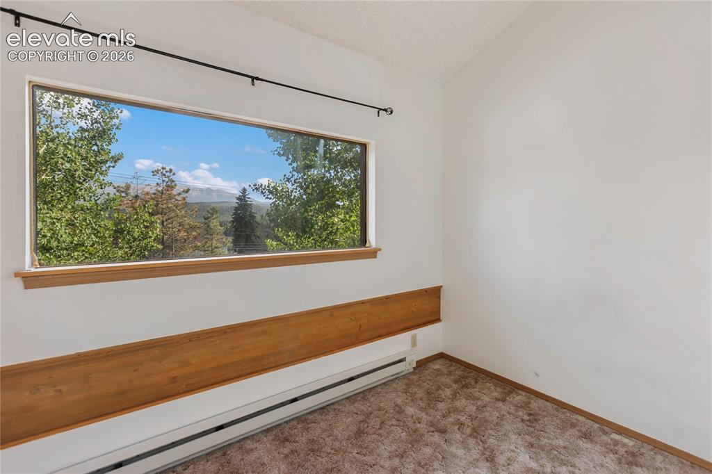 249 E Lake Avenue Woodland Park CO 80863