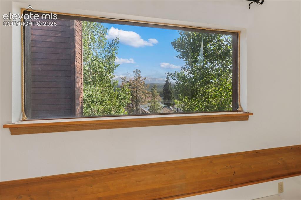 249 E Lake Avenue Woodland Park CO 80863
