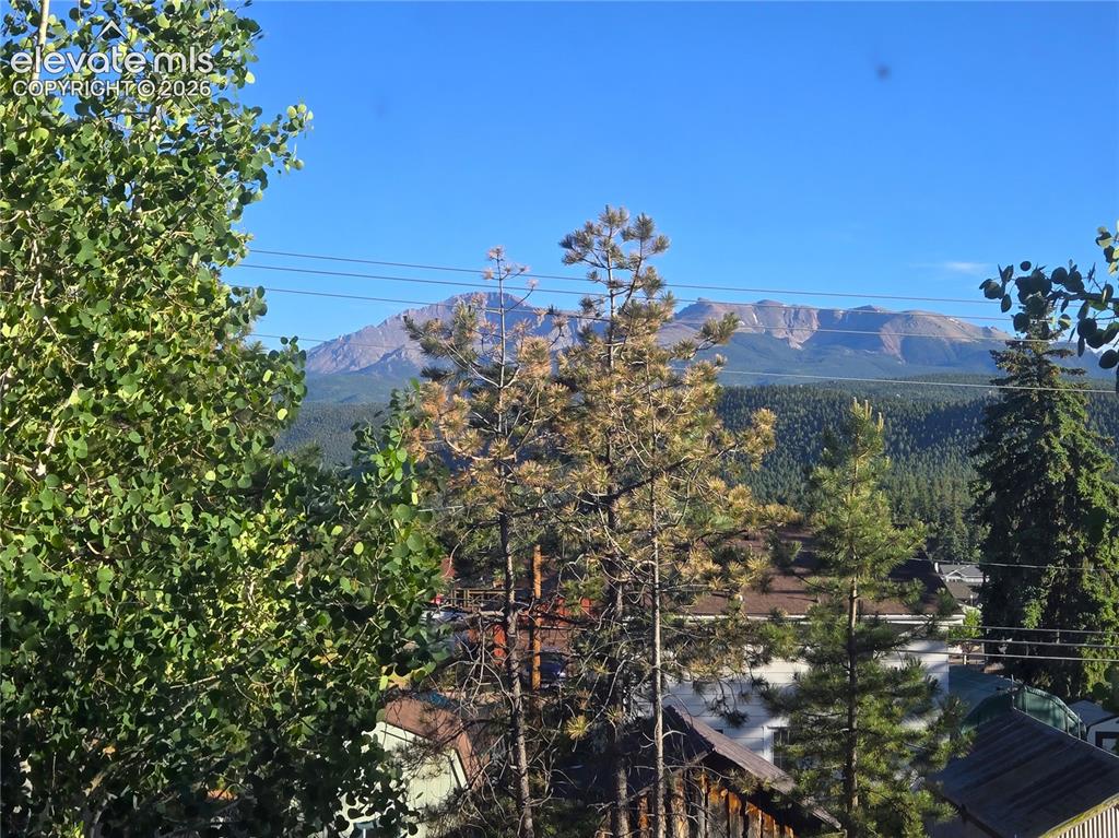 249 E Lake Avenue Woodland Park CO 80863
