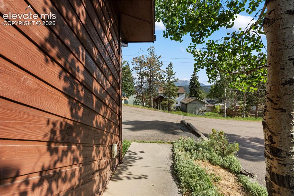 249 E Lake Avenue Woodland Park CO 80863