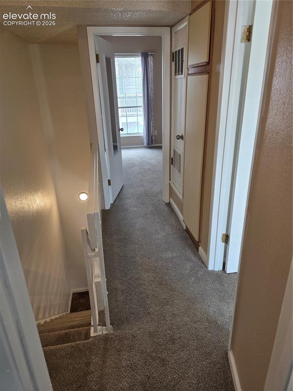 3250 Van Teylingen Drive Colorado Springs CO 80917