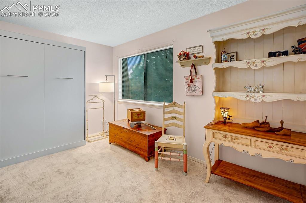 560 Manor Court Woodland Park CO 80863