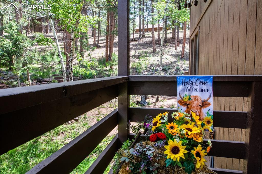 560 Manor Court Woodland Park CO 80863