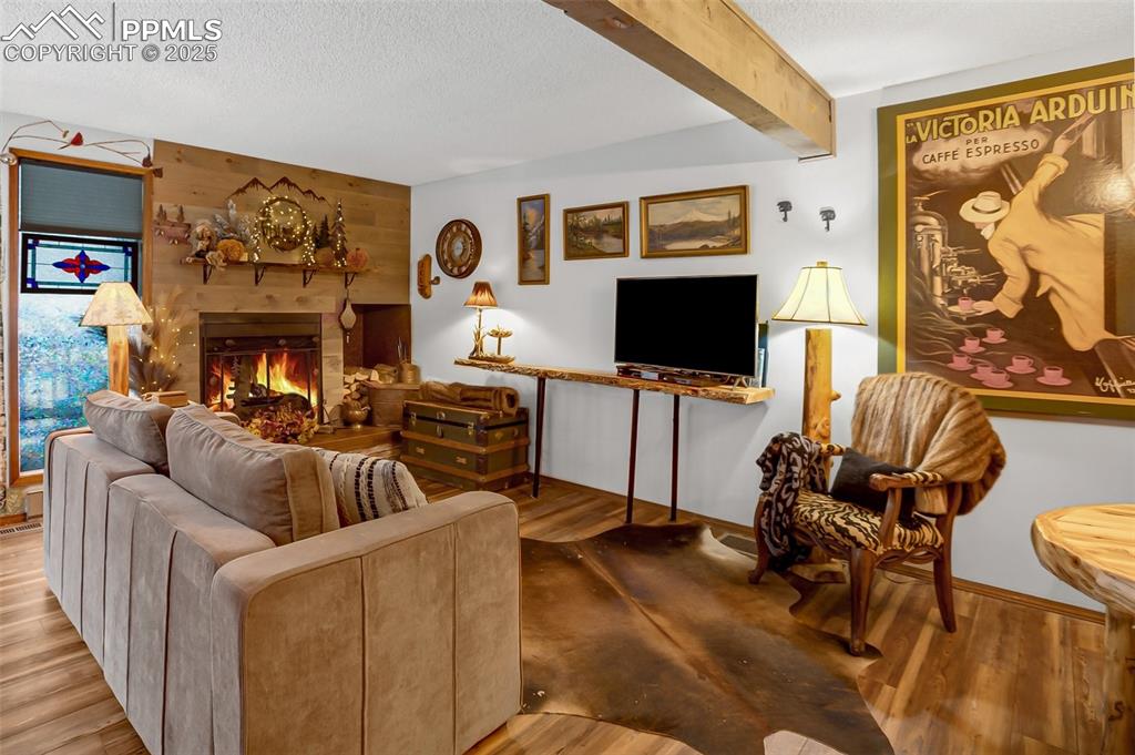 560 Manor Court Woodland Park CO 80863