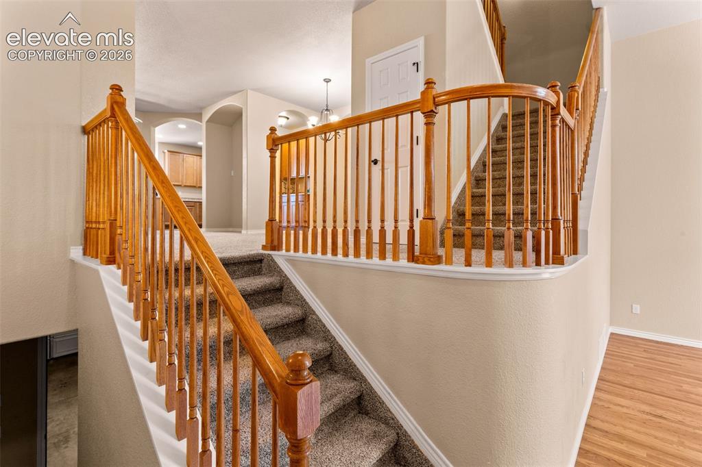 10817 Tincup Creek Point Colorado Springs CO 80908