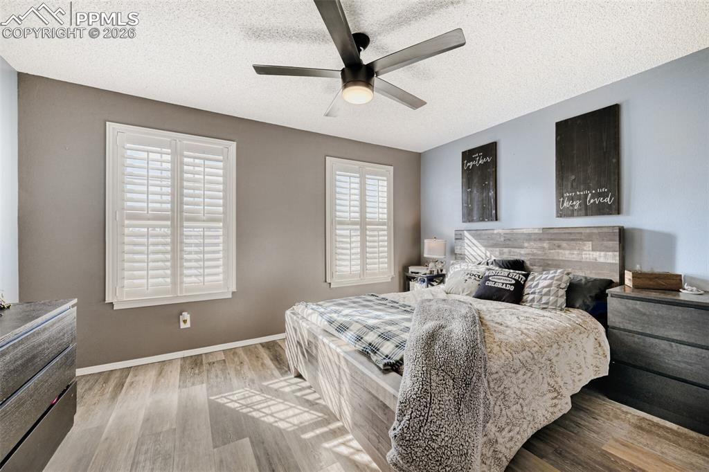 4231 Charleston Drive Colorado Springs CO 80916