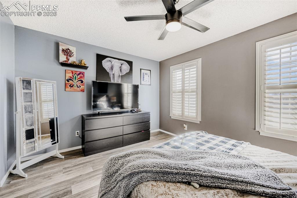 4231 Charleston Drive Colorado Springs CO 80916
