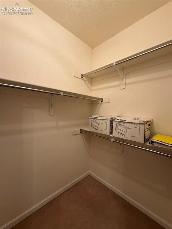 3940 Coral Point Colorado Springs CO 80917
