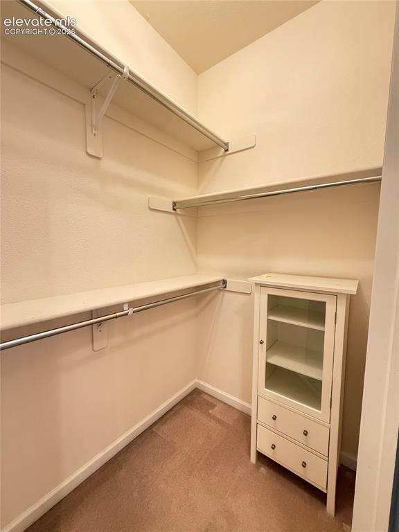 3940 Coral Point Colorado Springs CO 80917