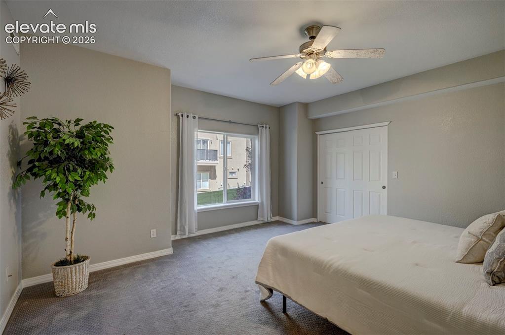 4888 Kerry Lynn View Colorado Springs CO 80922